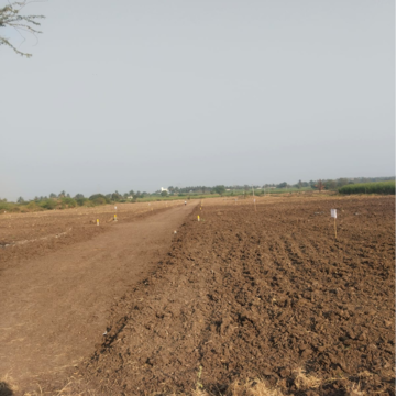 Plot Area in  Land at Wagholi – for Sale