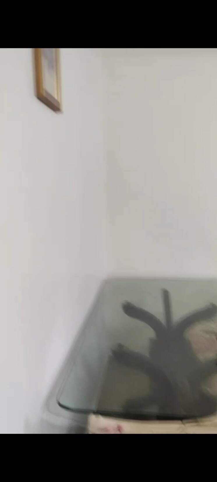 Cover Image, prabhadevi-chs 2 Bedroom 900 Sq.Ft. Apartment In Prabhadevi Mumbai 9728752