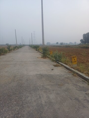  Plot For Sale in Jewar
