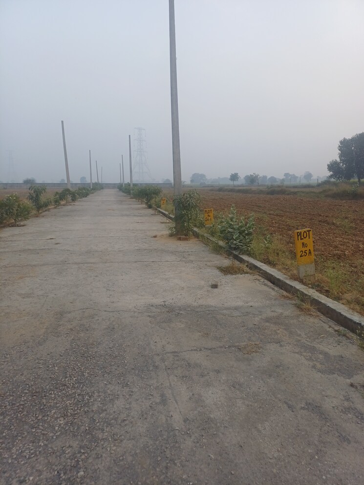 Cover Image, jewar  225 Sq.Yd. Plot In Jewar Greater Noida 9728848