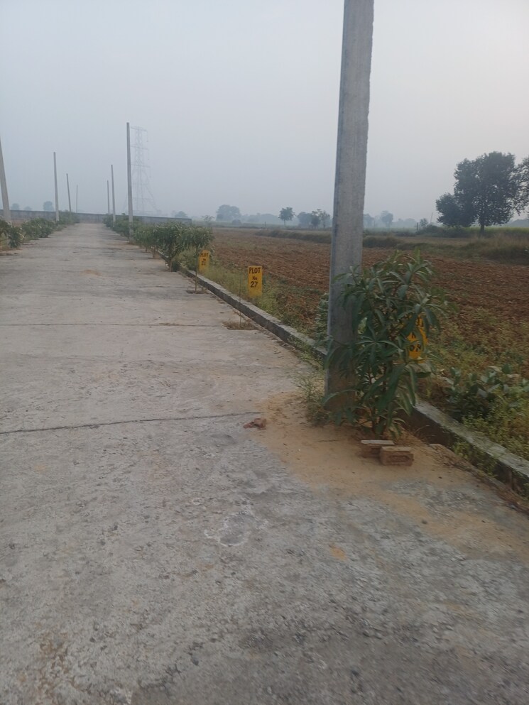 Exterior View, jewar  225 Sq.Yd. Plot In Jewar Greater Noida 9728848