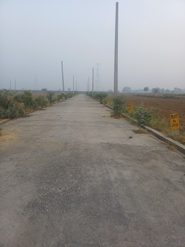 Exterior View, jewar  225 Sq.Yd. Plot In Jewar Greater Noida 9728848