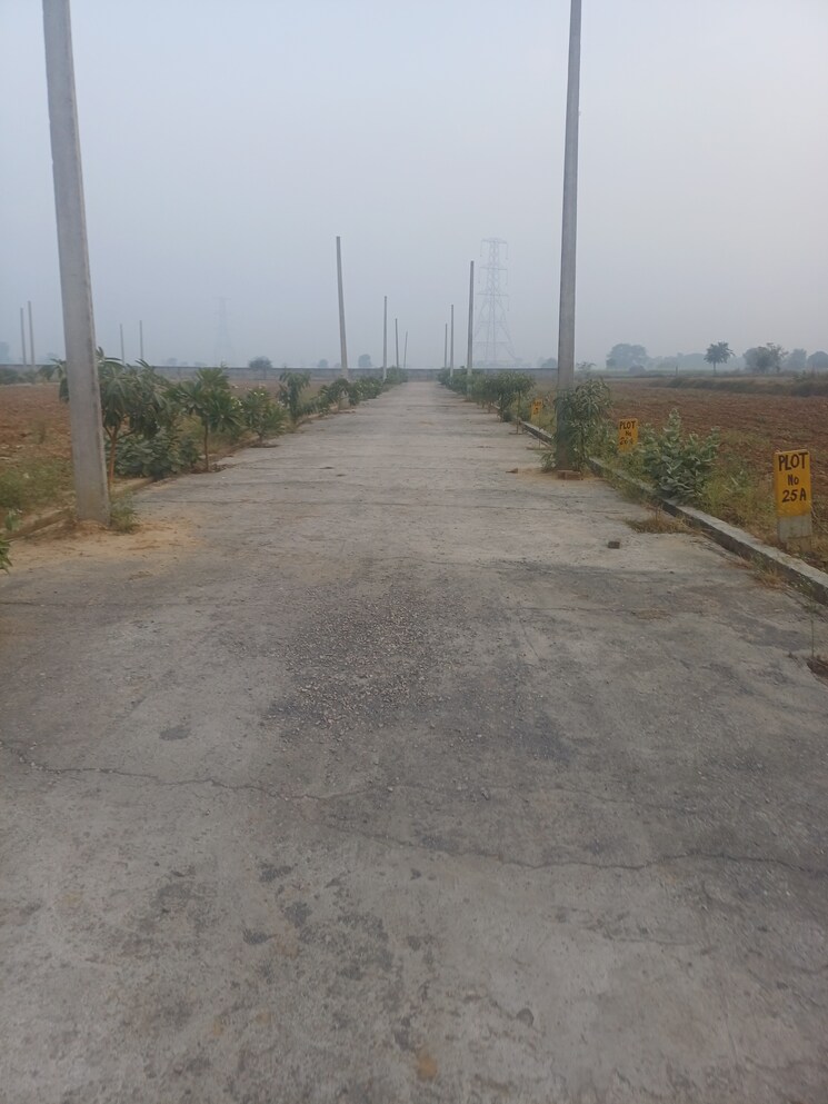 Exterior View, jewar  225 Sq.Yd. Plot In Jewar Greater Noida 9728848