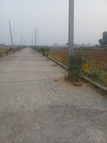  Plot – Exterior View View at Jewar - for Sale