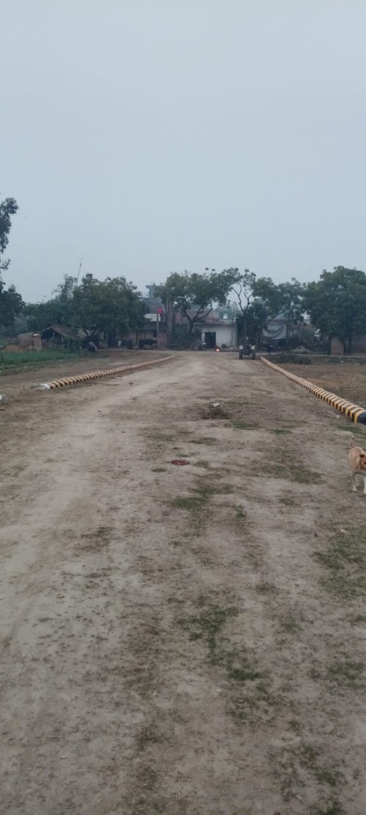 undefined, royal-city-phase-2  4000 Sq.Ft. Plot In Deva Road Lucknow 9728927