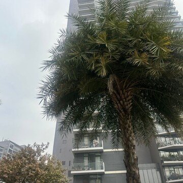 4 BHK Apartment – Exterior View View at Ireo Skyon, Sector 60 - for Sale