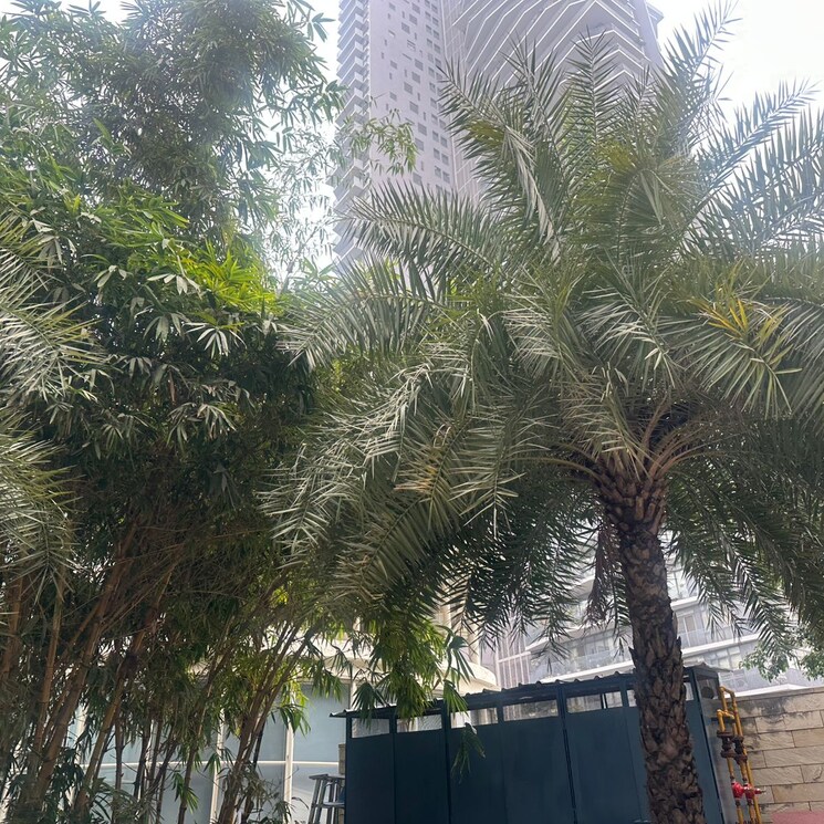 Exterior View, ireo-skyon 4 Bedroom 2791 Sq.Ft. Apartment In Sector 60 Gurgaon 9729115