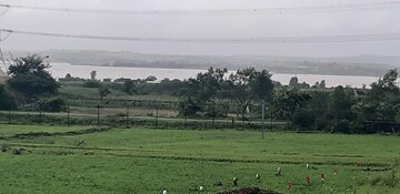 Plot Area in  Plot at Peth Road – for Sale