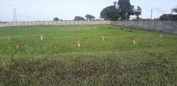 Plot Area in  Plot at Peth Road – for Sale