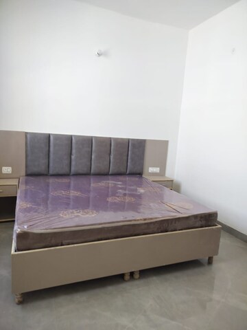 1 RK Apartment For Rent in Sunlight Apartments Sector 44, Sector 44