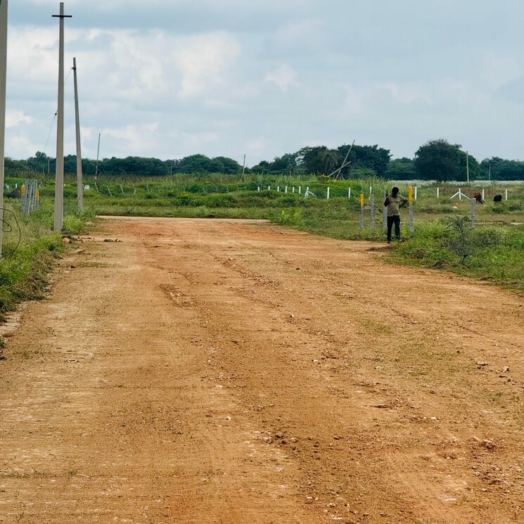 undefined, shadnagar  200 Sq.Yd. Plot In Shadnagar Hyderabad 9729806