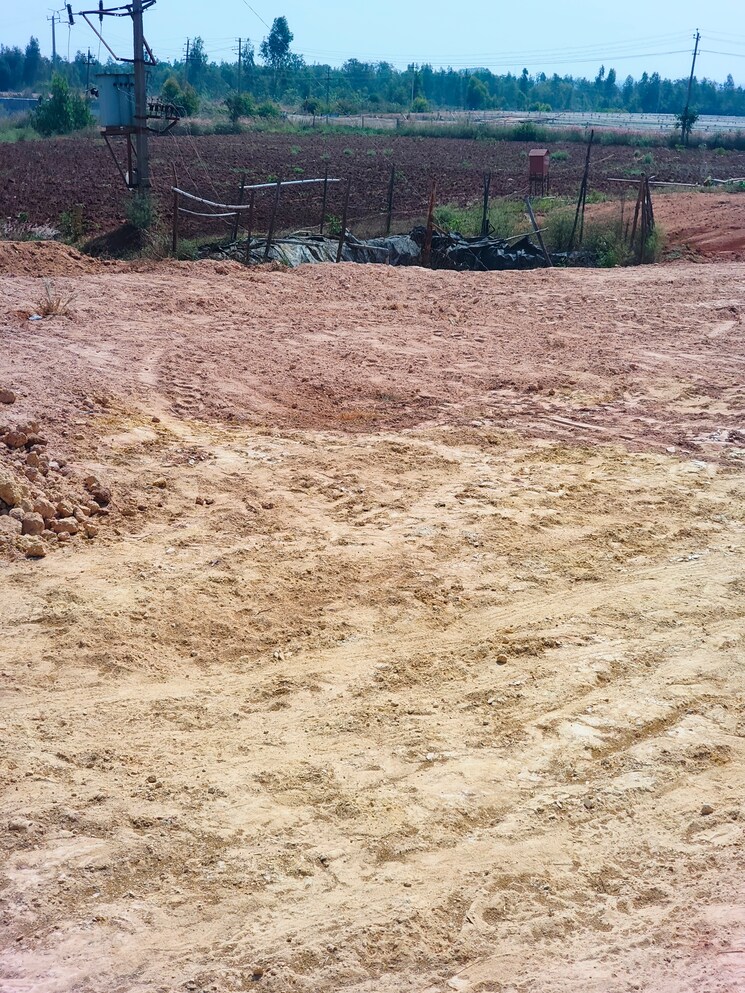 undefined, devanahalli  1200 Sq.Yd. Plot In Devanahalli Bangalore 9729859