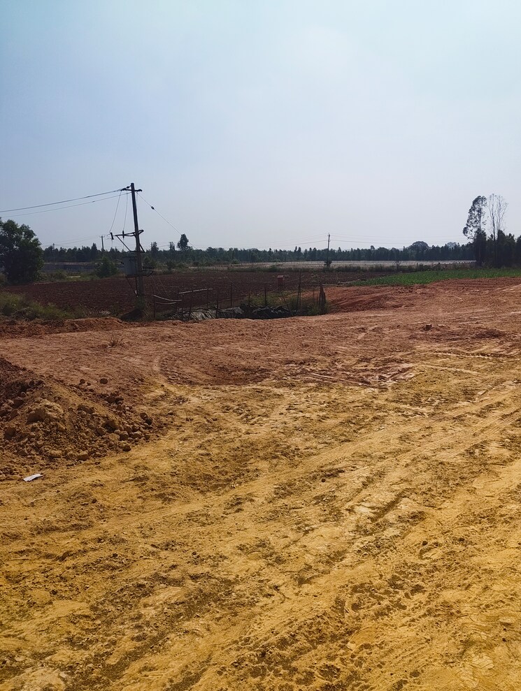 undefined, devanahalli  1200 Sq.Yd. Plot In Devanahalli Bangalore 9729859