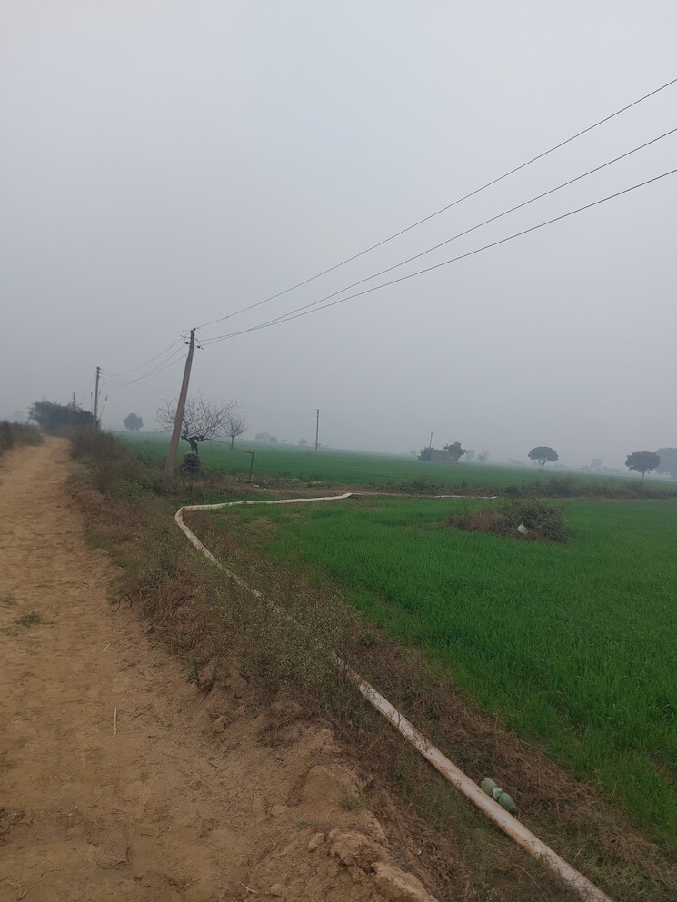 undefined, mant Commercial Land 2020 Sq.Mt. In Mant Mathura 9729905