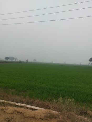 Land for Sale in Mant, Vrindavan