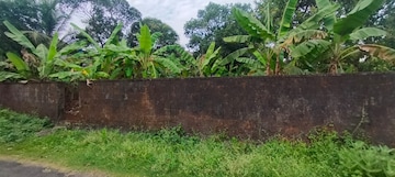  Plot For Sale in Chembukkav