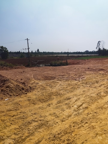 Plot Area in  Plot at Devanahalli – for Sale