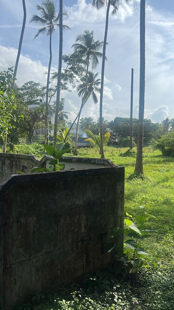  Plot For Sale in Cheroor