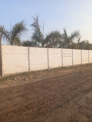 Plot Area in  Plot at Dadasiya – for Sale