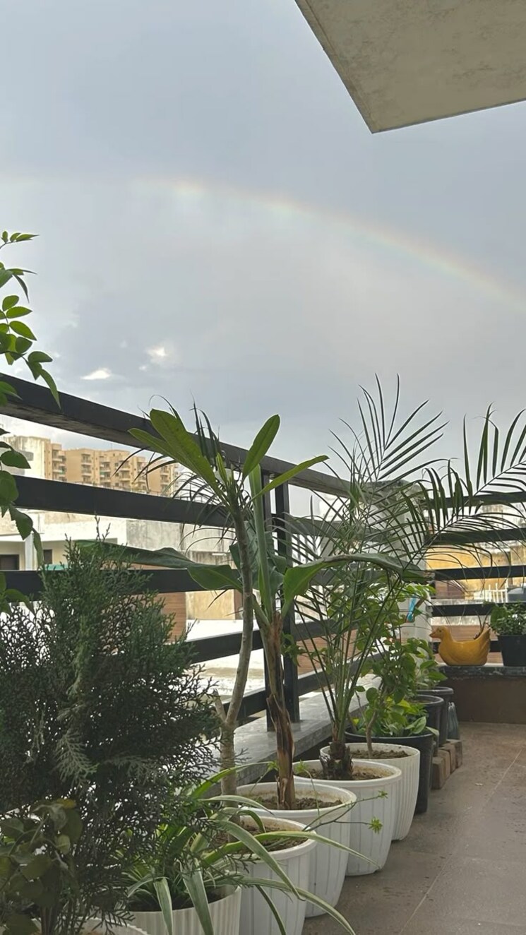 Room, vineet khand Pg For Girls In Vineet Khand 9730475