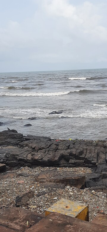 3 BHK Apartment For Sale in Bandra West