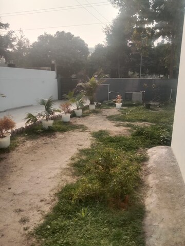 Plot Area in 3 BHK Independent House at RWA Apartments Sector 72, Sector 72 – for Rent