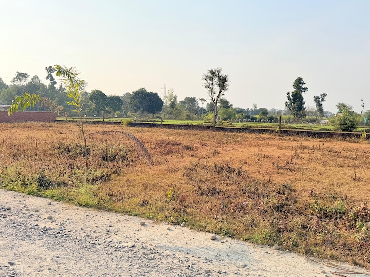 undefined, badripur  232 Sq.Yd. Plot In Badripur Dehradun 9731503