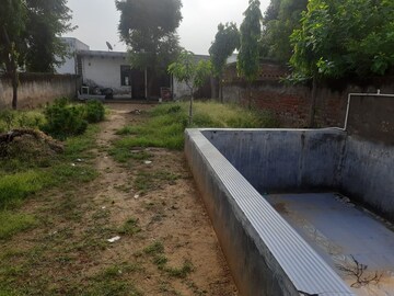 Plot Area in  Plot at Sadrana – for Sale