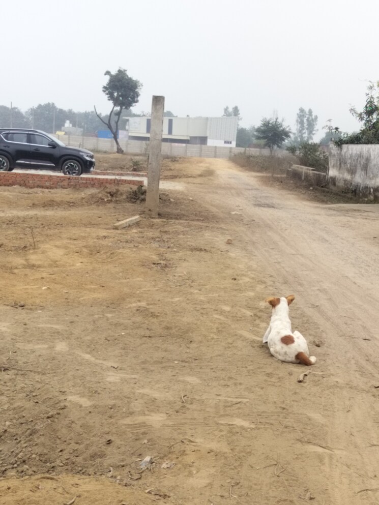 undefined, arsha-madhav-greens  1250 Sq.Ft. Plot In Gomti Nagar Lucknow 9732134