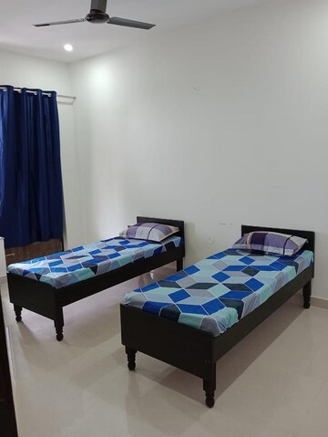  Pg For Rent in Sector 144