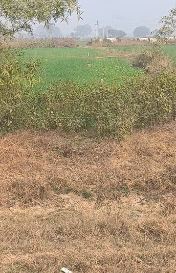 Plot Area in  Land at Amarpatan – for Sale