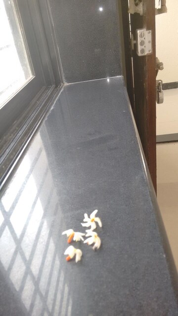 Balcony in 2 BHK Apartment at Aura Residences, Baner – for Rent