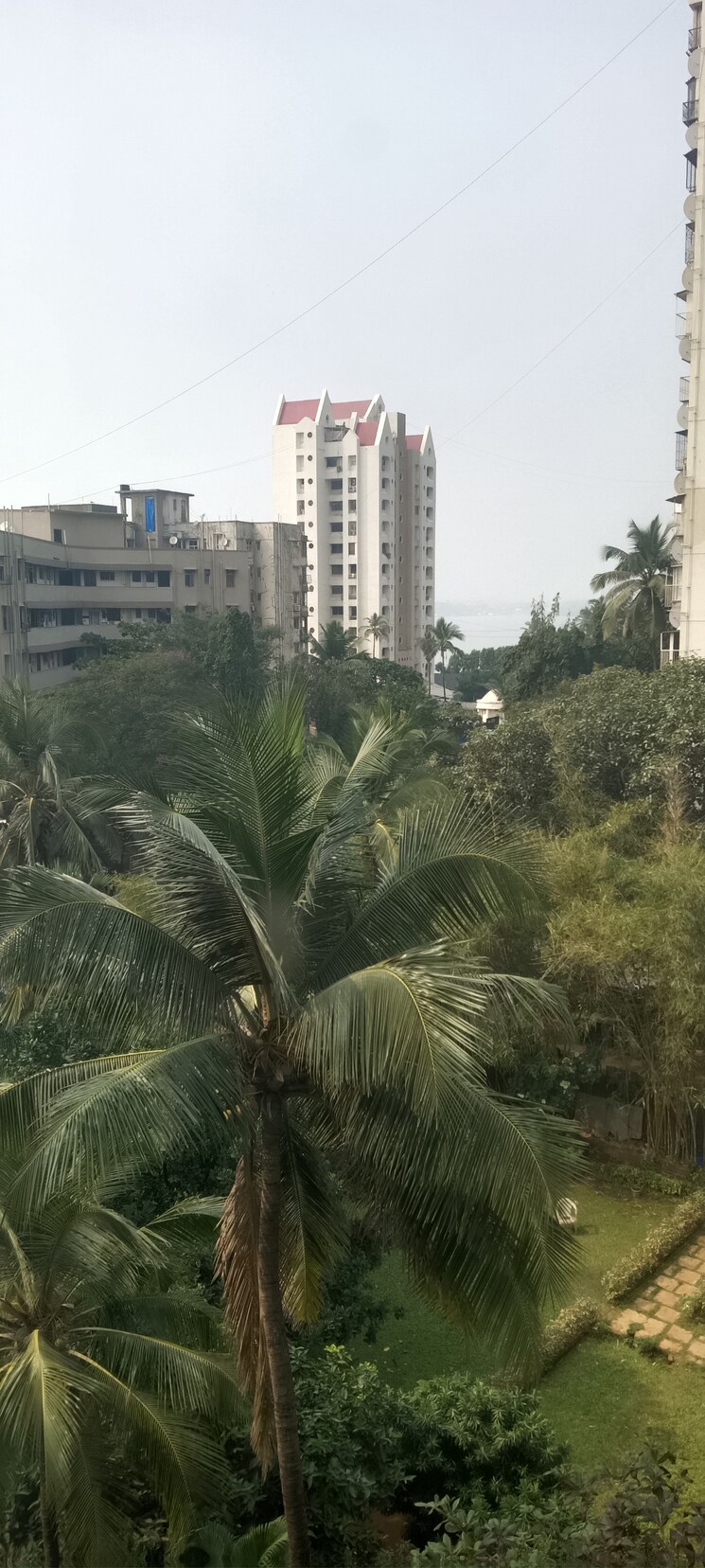 Cover Image, savera-chs-andheri 1 Bedroom 480 Sq.Ft. Apartment In Andheri West Mumbai 9732429