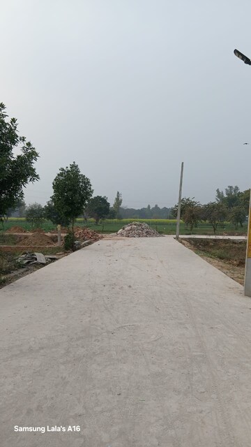 Plot Area in  Plot at SS Shri Ram Vatika, Ram Vatika Colony – for Sale