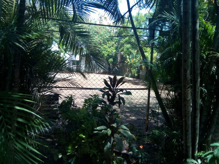 Garden, swaroop-park-chs 3 Bedroom 2200 Sq.Ft. Independent House In Kothrud Pune 9733518