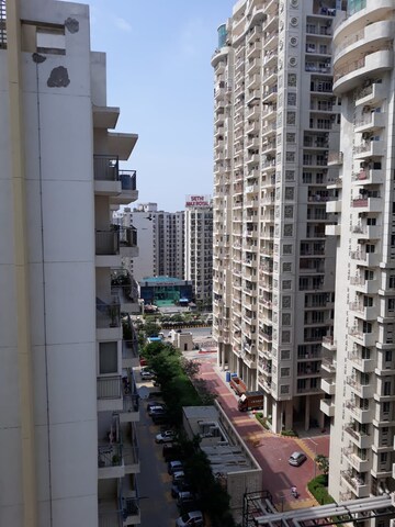 2 BHK Apartment For Rent in Aditya Urban Casa, Sector 78