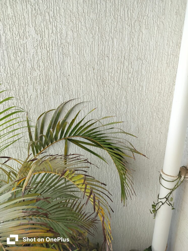 Map Location, lodha-bella-vita 2 Bedroom 1000 Sq.Ft. Apartment In Nibm Road Pune 9734633