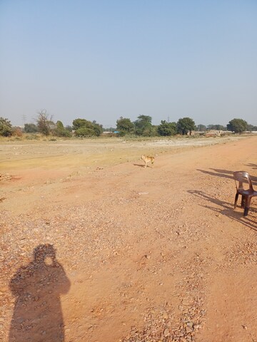 Plot Area in  Plot at Jajru – for Sale