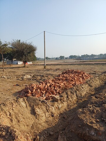 Plot Area in  Plot at Jajru – for Sale