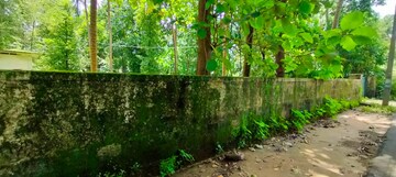 Plot Area in  Plot at Kottekkad – for Sale