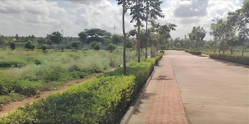 Plot Area in  Plot at Puravankara Tivoli Hills Phase 2, Devanahalli – for Sale