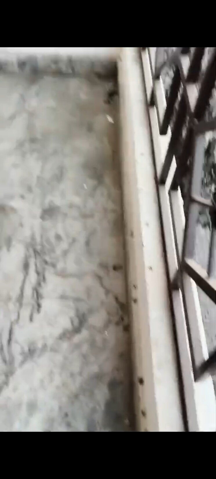 Balcony, sector 1 vaishali 2 Bedroom 1000 Sq.Ft. Builder Floor In Sector 1 Vaishali Ghaziabad 9736438