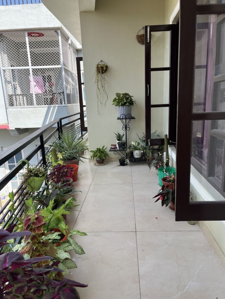 Terrace, vibhuti khand Pg For Girls In Vibhuti Khand 9736479