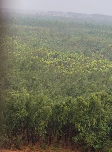 2 BHK Apartment – Garden View at My Home Tridasa, Tellapur - for Sale