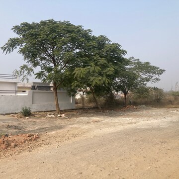 Plot Area in  Plot at Sector 25 Yamuna Expressway – for Sale