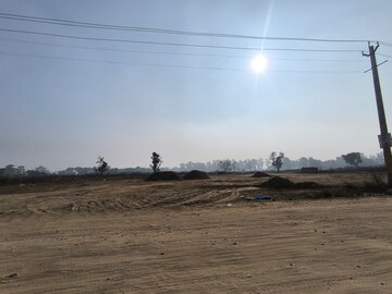 Plot For Sale in Pataudi