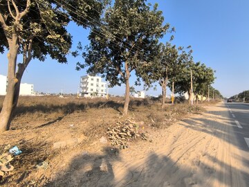 Plot Area in  Plot at Pataudi – for Sale