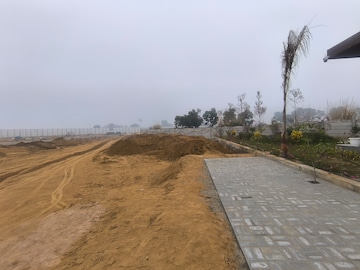 Plot Area in  Plot at VKS Palm Drive, Pataudi – for Sale