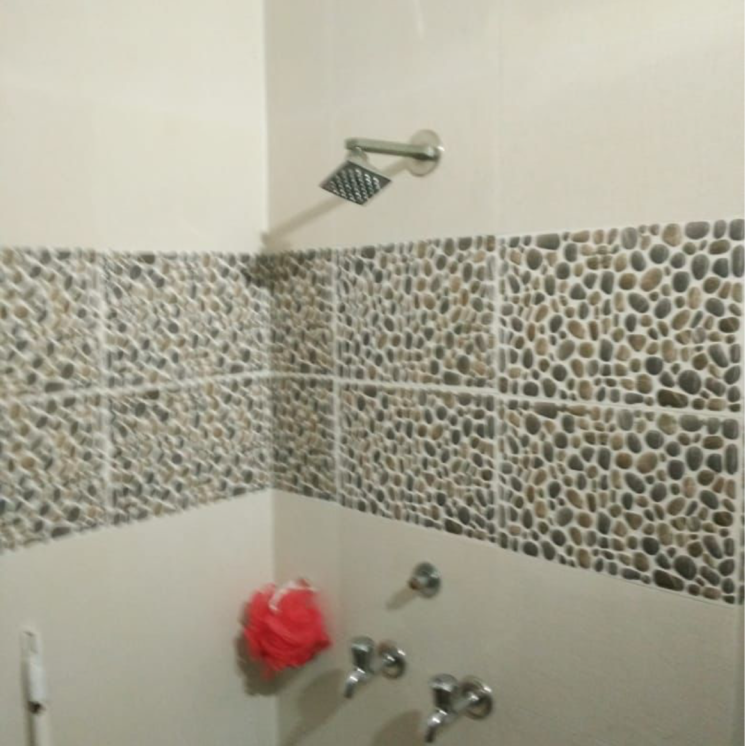 Bathroom, anamika-enclave 3 Bedroom 250 Sq.Yd. Builder Floor In Prem Nagar 2 Gurgaon 9737612