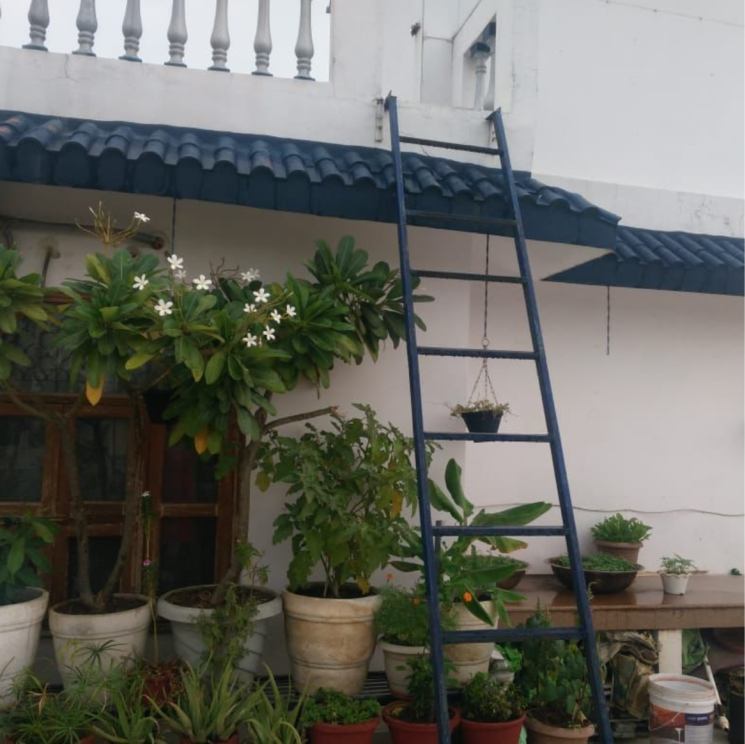 Exterior View, anamika-enclave 3 Bedroom 250 Sq.Yd. Builder Floor In Prem Nagar 2 Gurgaon 9737612